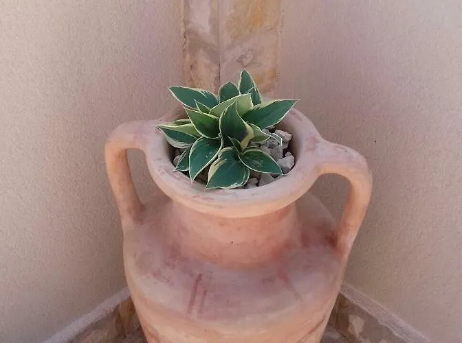 Nella Privlaka (Zadar)