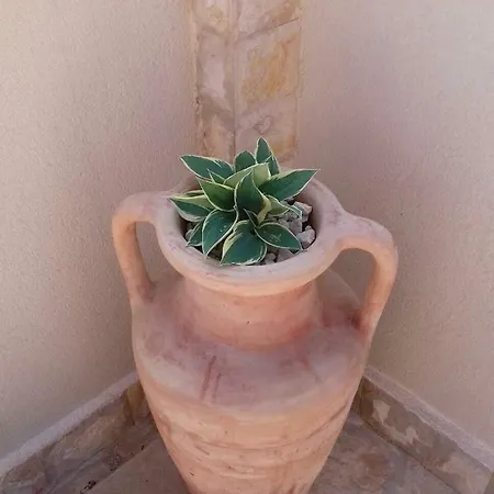 Nella Privlaka (Zadar)